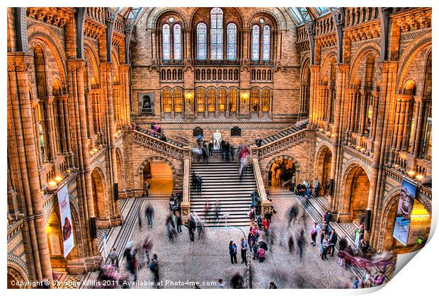 Natural History Museum in Action Print by Christine Johnson