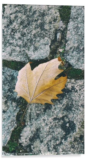 Single orange leaf on the ground Acrylic by Ingo Menhard