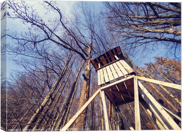 Low angle shot of a wooden treehouse with bare trees against the blue sky Canvas Print by Ingo Menhard