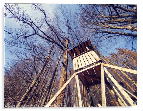 Low angle shot of a wooden treehouse with bare trees against the blue sky Acrylic by Ingo Menhard
