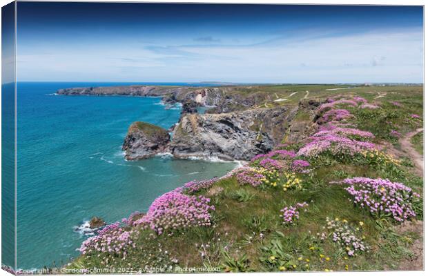 Sea Thrift growing on the coast at Bedruthan Steps Canvas Print by Gordon Scammell