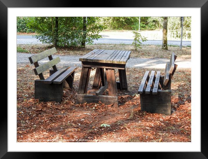 The outdoor old wooden table and benches in the autumn park under sunbeams Framed Mounted Print by Ingo Menhard