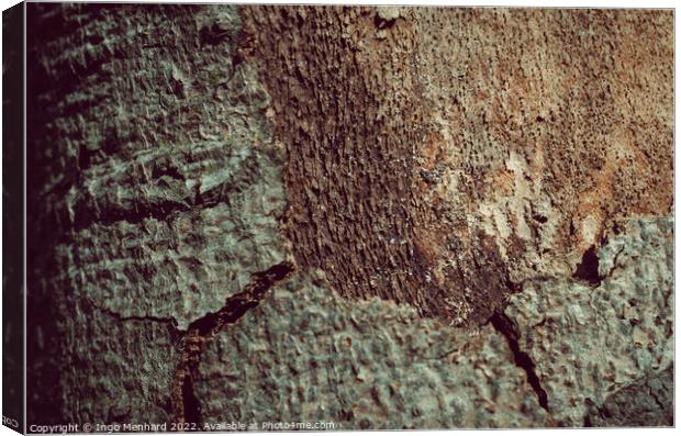 Tree trunk bark texture background Canvas Print by Ingo Menhard