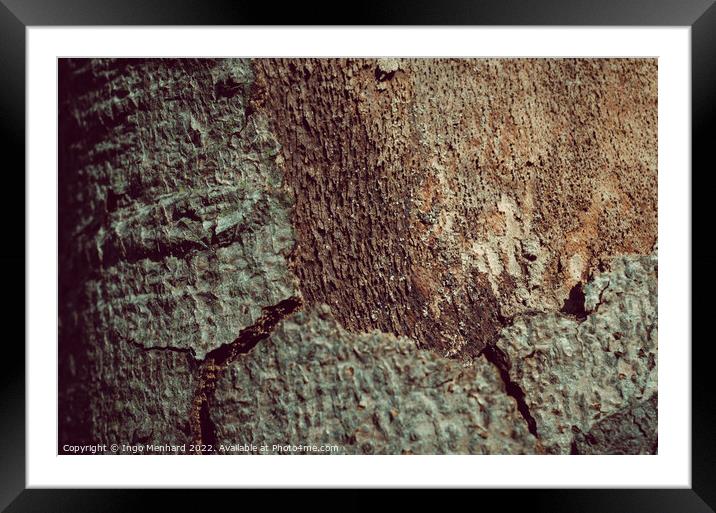 Tree trunk bark texture background Framed Mounted Print by Ingo Menhard