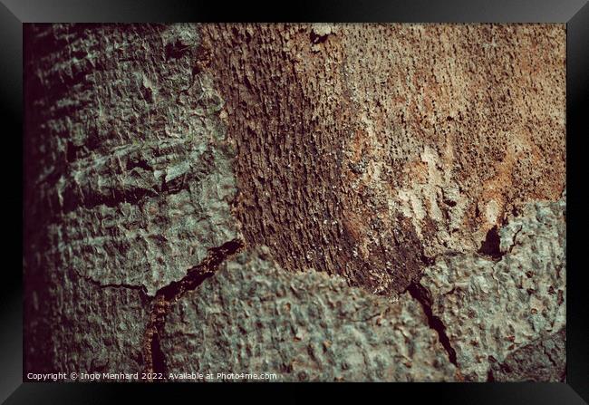Tree trunk bark texture background Framed Print by Ingo Menhard