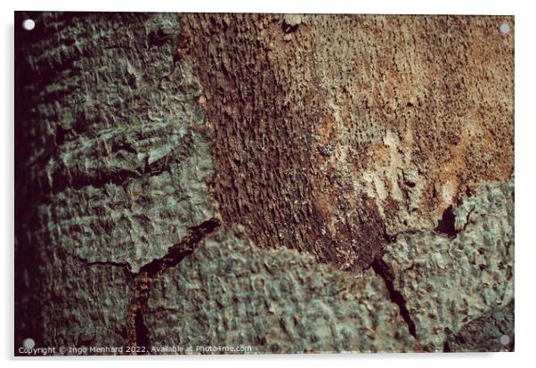 Tree trunk bark texture background Acrylic by Ingo Menhard