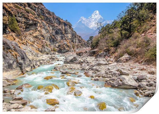Dudh Khosi River Gorge, Himalayas Print by Margaret Ryan