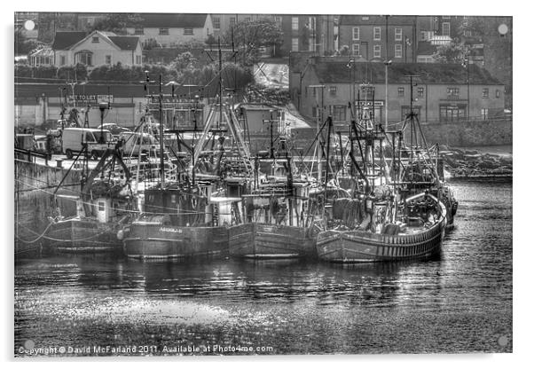 Ardglass fishing fleet Acrylic by David McFarland