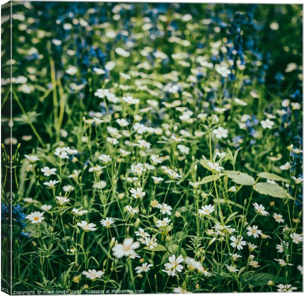 wild spring flowers Canvas Print by mark Smith