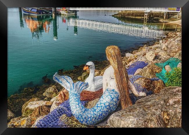 The Mermaid And The Swan Framed Print by Peter F Hunt