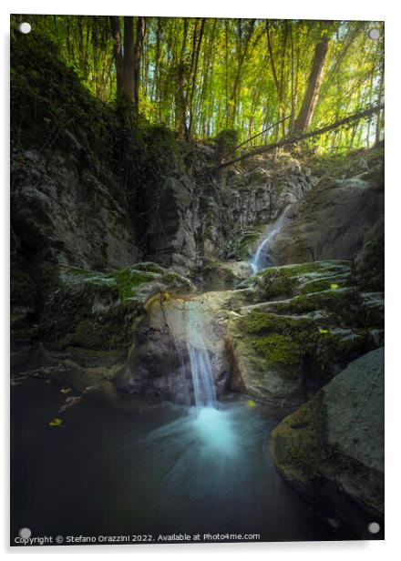 Stream waterfall inside a forest. Chianni, Tuscany Acrylic by Stefano Orazzini