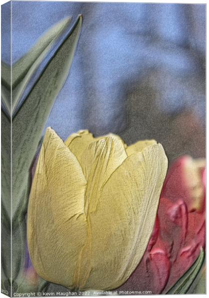 Yellow Tulip Sketch Style Canvas Print by Kevin Maughan