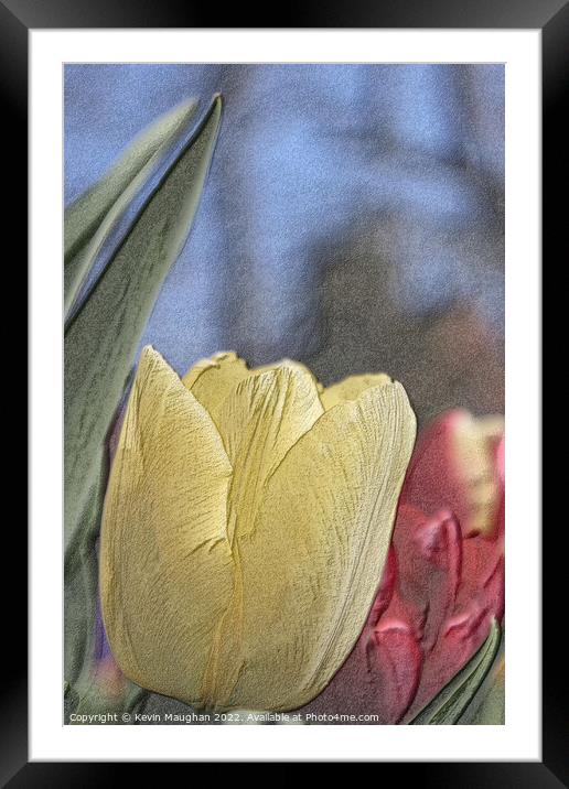 Yellow Tulip Sketch Style Framed Mounted Print by Kevin Maughan