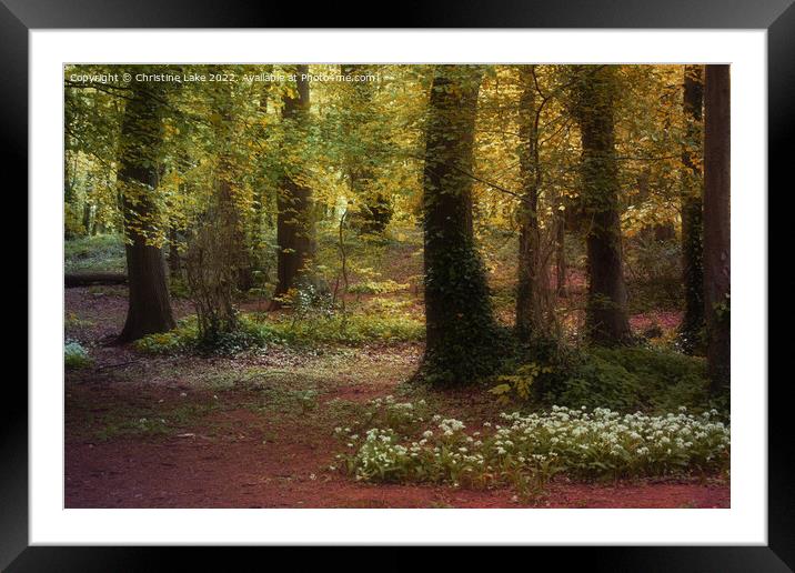 Natures Glow Framed Mounted Print by Christine Lake