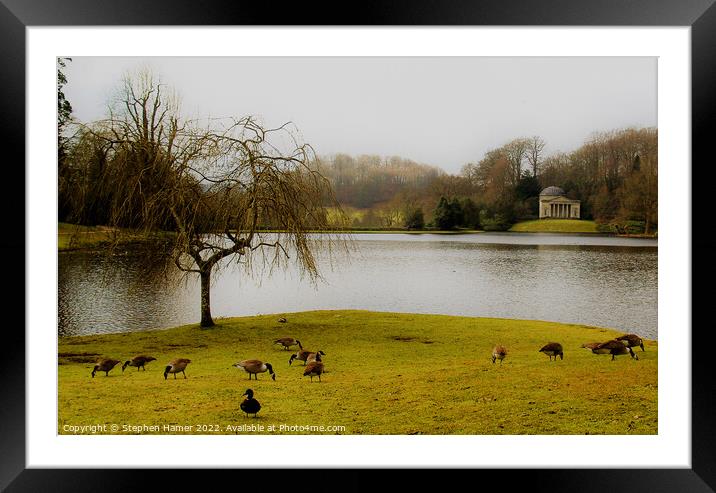 Canada Geese by the Lake Framed Mounted Print by Stephen Hamer