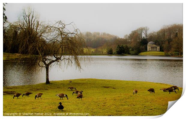 Canada Geese by the Lake Print by Stephen Hamer