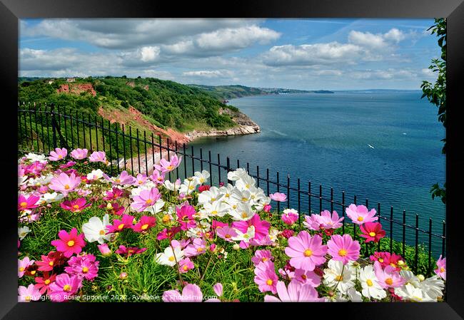 Beautiful flowerbeds at Babbacombe Downs Framed Print by Rosie Spooner