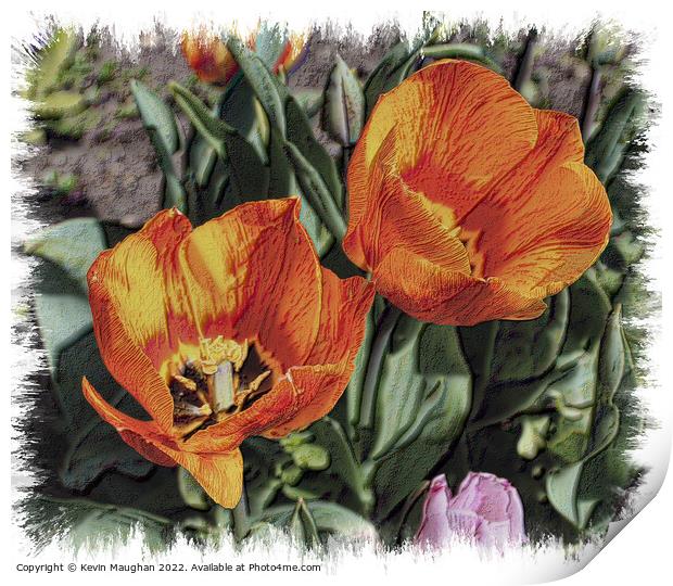 Tulips Fully Opened (Sketch Style Digital Art) Print by Kevin Maughan