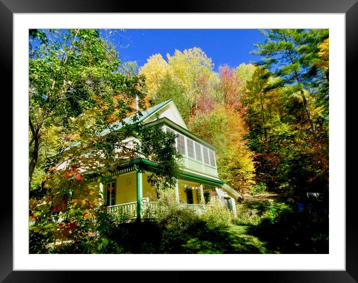House in the forest Framed Mounted Print by Stephanie Moore