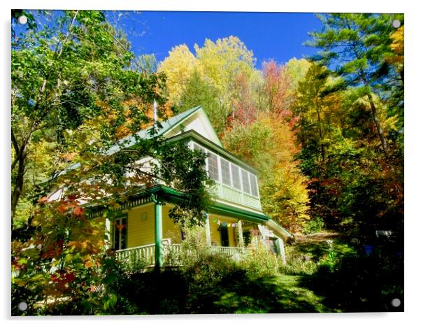 House in the forest Acrylic by Stephanie Moore