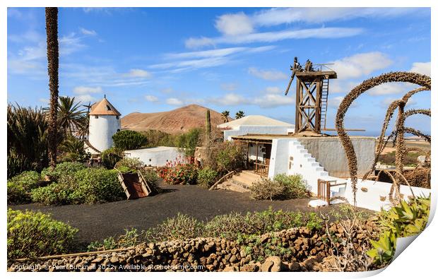 Agricultural Museum in Lanzarote Print by Pearl Bucknall
