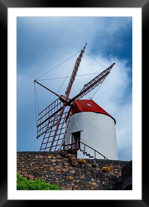 Windmill at The Cactus Gardens Framed Mounted Print by Joyce Storey