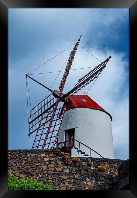 Windmill at The Cactus Gardens Framed Print by Joyce Storey