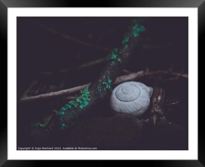 Closeup shot of a snail shell on the ground Framed Mounted Print by Ingo Menhard