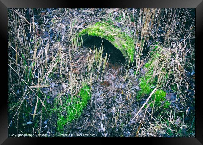 Partially clogged old concrete drain pipe surrounded by grass and moss Framed Print by Ingo Menhard