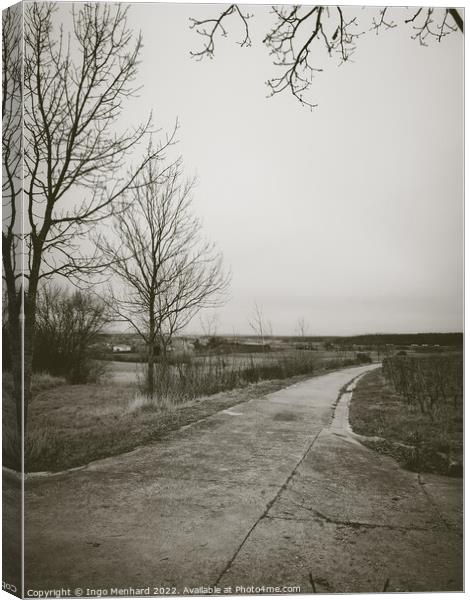 Long road surrounded by leafless trees in a field under a cloudy sky Canvas Print by Ingo Menhard