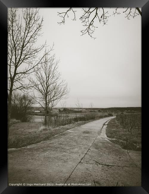 Long road surrounded by leafless trees in a field under a cloudy sky Framed Print by Ingo Menhard