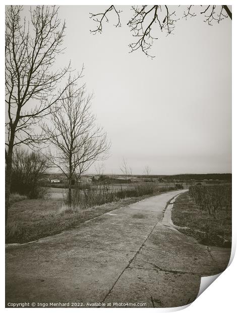 Long road surrounded by leafless trees in a field under a cloudy sky Print by Ingo Menhard