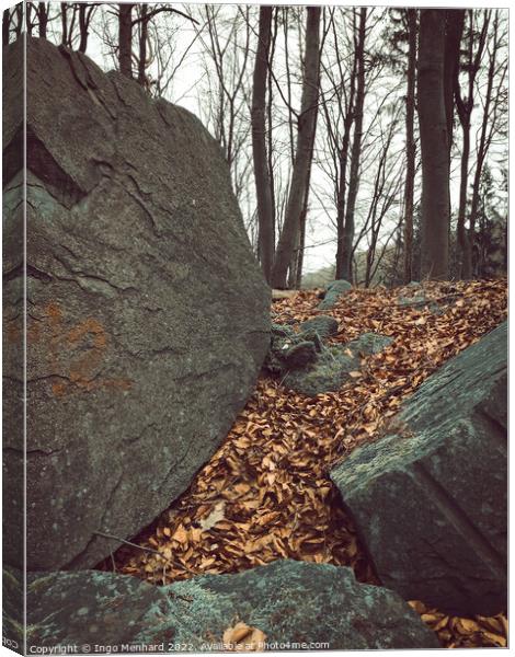 Vertical shot of big rocks and brown fallen leaves on the ground with bare trees in the background Canvas Print by Ingo Menhard