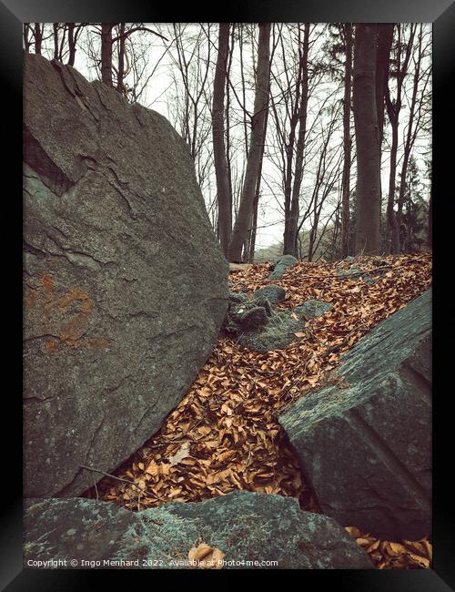 Vertical shot of big rocks and brown fallen leaves on the ground with bare trees in the background Framed Print by Ingo Menhard