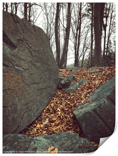 Vertical shot of big rocks and brown fallen leaves on the ground with bare trees in the background Print by Ingo Menhard