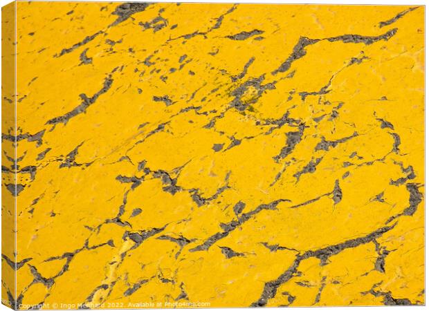 A closeup shot of yellow cracked surface Canvas Print by Ingo Menhard