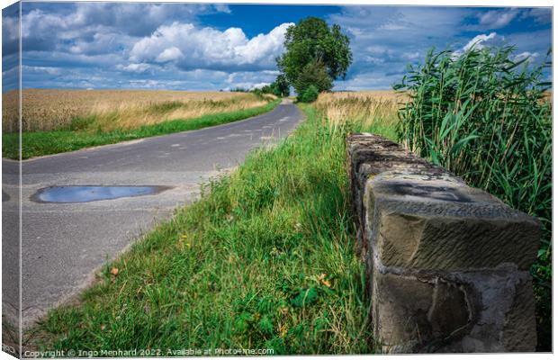 Beautiful shot of a road in the middle of a field Canvas Print by Ingo Menhard