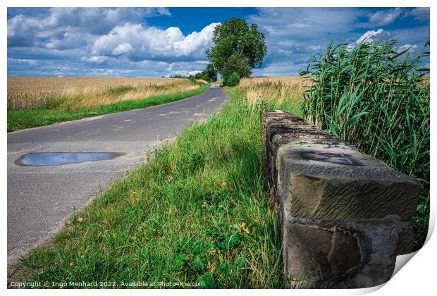 Beautiful shot of a road in the middle of a field Print by Ingo Menhard