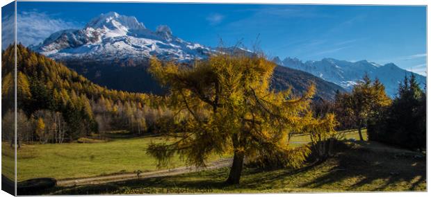 landscape of the french alps in autumn Canvas Print by louis bertrand