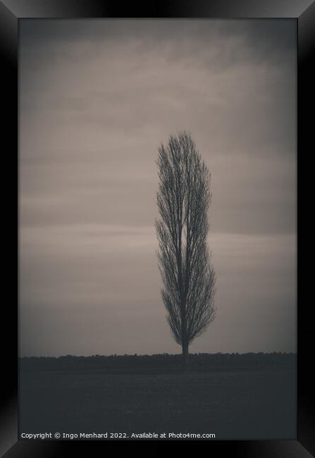 Vertical shot of a tree in a park Framed Print by Ingo Menhard