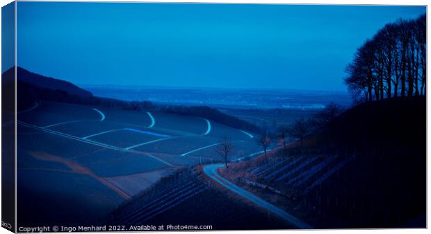 Vineyard landscape by night Canvas Print by Ingo Menhard