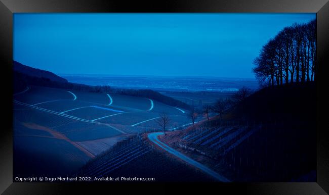 Vineyard landscape by night Framed Print by Ingo Menhard