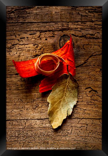 Aroma Framed Print by Bernard Jaubert