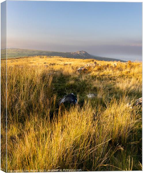 Evening light on Sharp Tor from Stowes hill Bodmin Canvas Print by Jim Peters