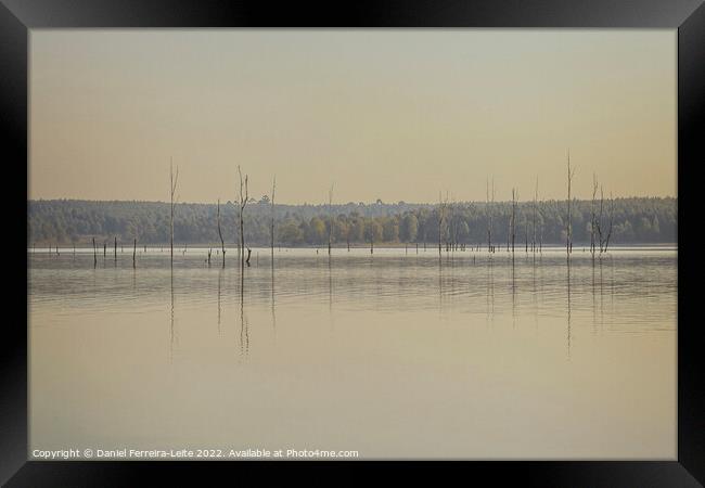 Grande Stream Landscape, Flores, Uruguay Framed Print by Daniel Ferreira-Leite