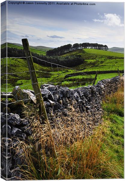 Along The Road to Pen-Y-Ghent Canvas Print by Jason Connolly