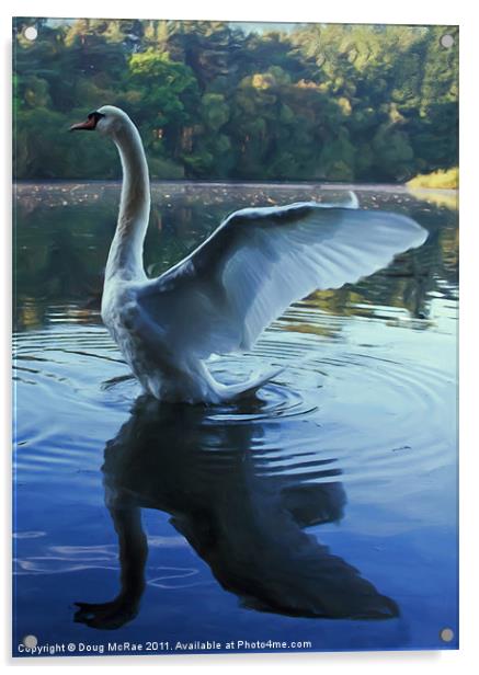 Painted swan Acrylic by Doug McRae