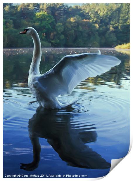 Painted swan Print by Doug McRae