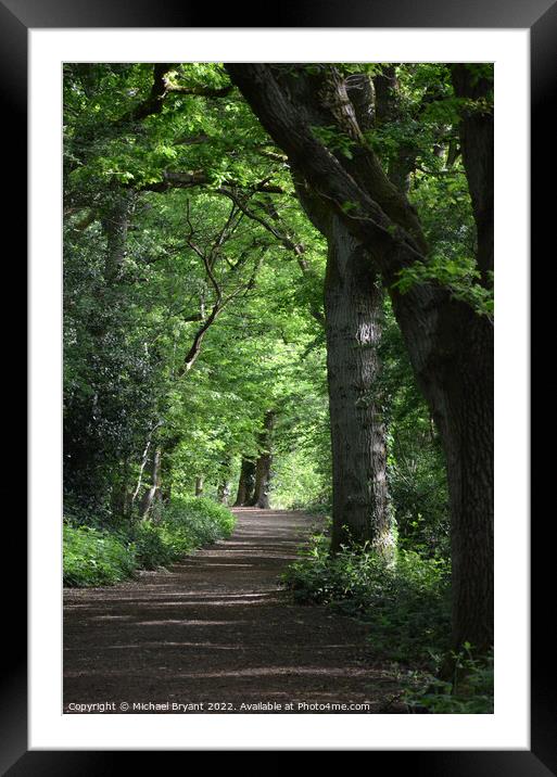 forest trail Framed Mounted Print by Michael bryant Tiptopimage