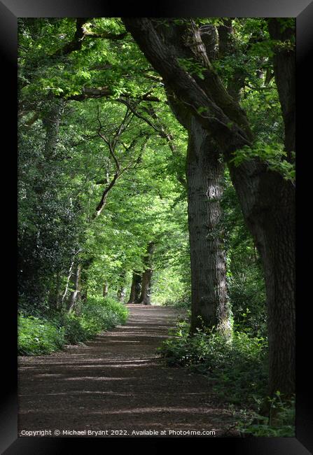 forest trail Framed Print by Michael bryant Tiptopimage